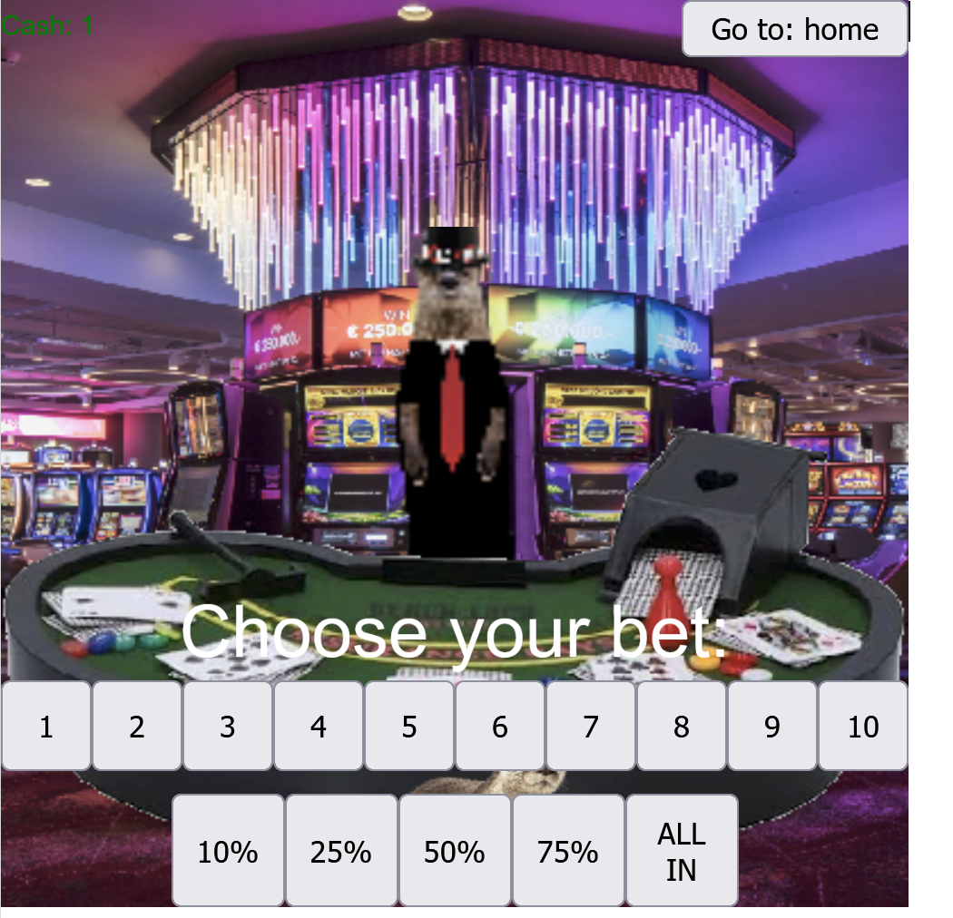 Project screenshot 2