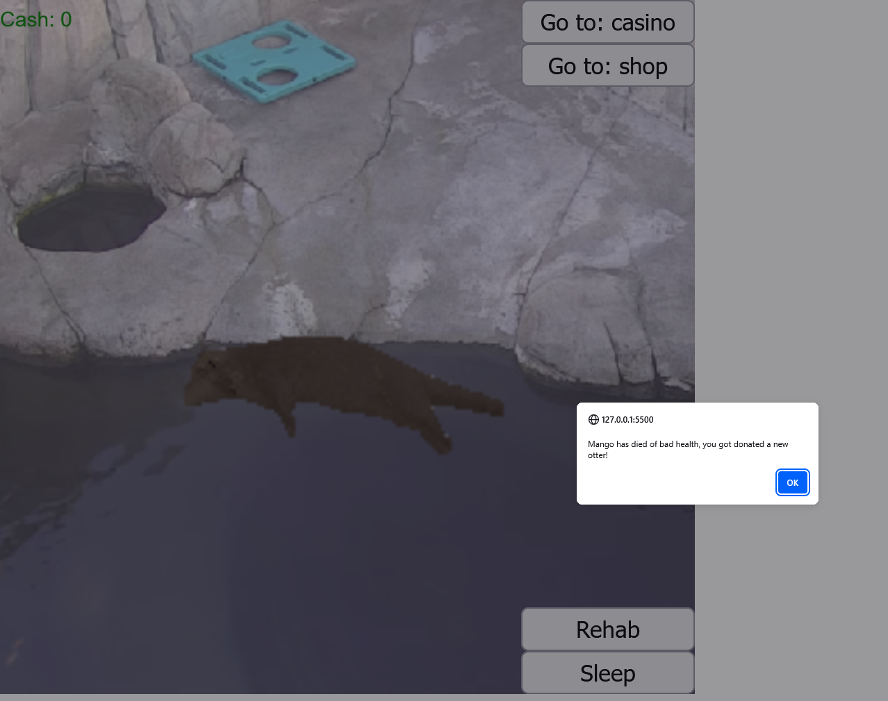 Project screenshot 3